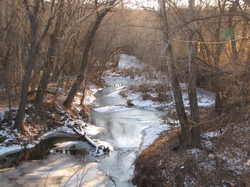 Rustic Cedar Creek