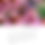 Thumbnail: All God's Creatures