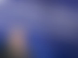 SENADO FEDERAL: Em busca da constituição.