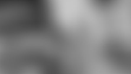 A Conversation With Cal Green of Raised By Wolves