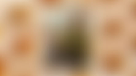 2024 Recipient: Bruized