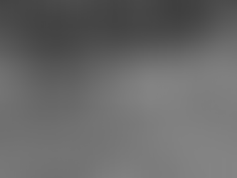                   In het spoor van Reinaert 