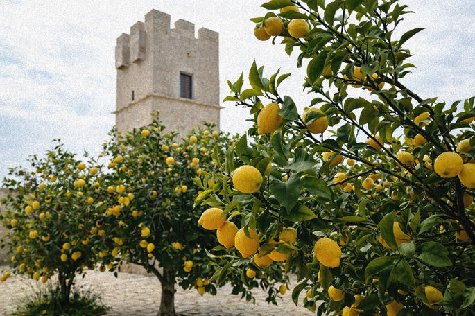 Torre delle Pietre Rosse di Giovinazzo – Museo fortificato medievale