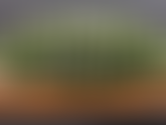 Rydde opp i boet ved dødsfall