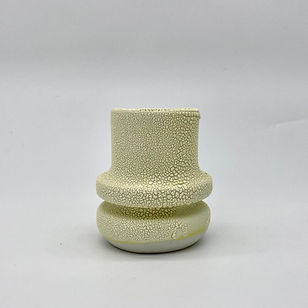 9.Porcelaine blanche_émail jaune séché.jpeg