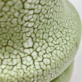 12a Détail porcelaine blanche_émail peau de lézard.jpeg