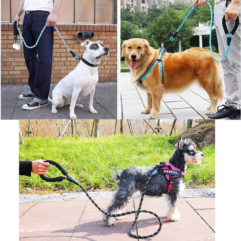 Thumbnail: Strong Dog Leash Pet Leashes Reflective