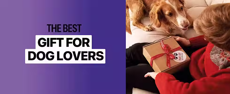 Thumbnail: 2023 Ultrasonic Dog Repeller with Flashlight Feature
