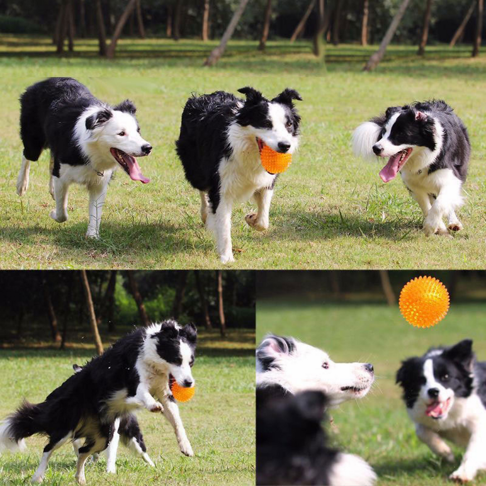 Thumbnail: Bite Resistant Ball Toys for Small Large Dogs