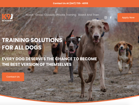 K9 Academy Landing Page