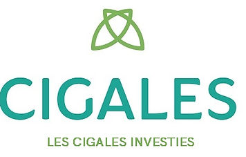 LOGO_Pibrac.jpg