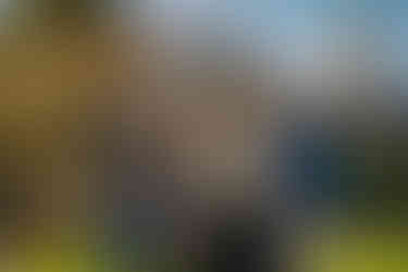 Dunedin Graduation on campus - Angela Haig Photography