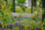 Blattigarten-geschichte-über-uns-familienunternehmen-gärtner-thun-bern.jpg