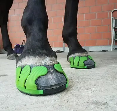 Pferdehufe mit grünen Klebebeschlägen als nagellose Alternative zum Hufeisen, ideal für empfindliche Hufe oder therapeutische Zwecke