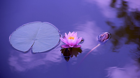 Soin-énérgetique-unverselle-reiki-vaud.jpg