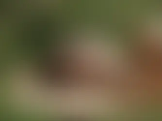 Ganzheitliche Schlafberatung