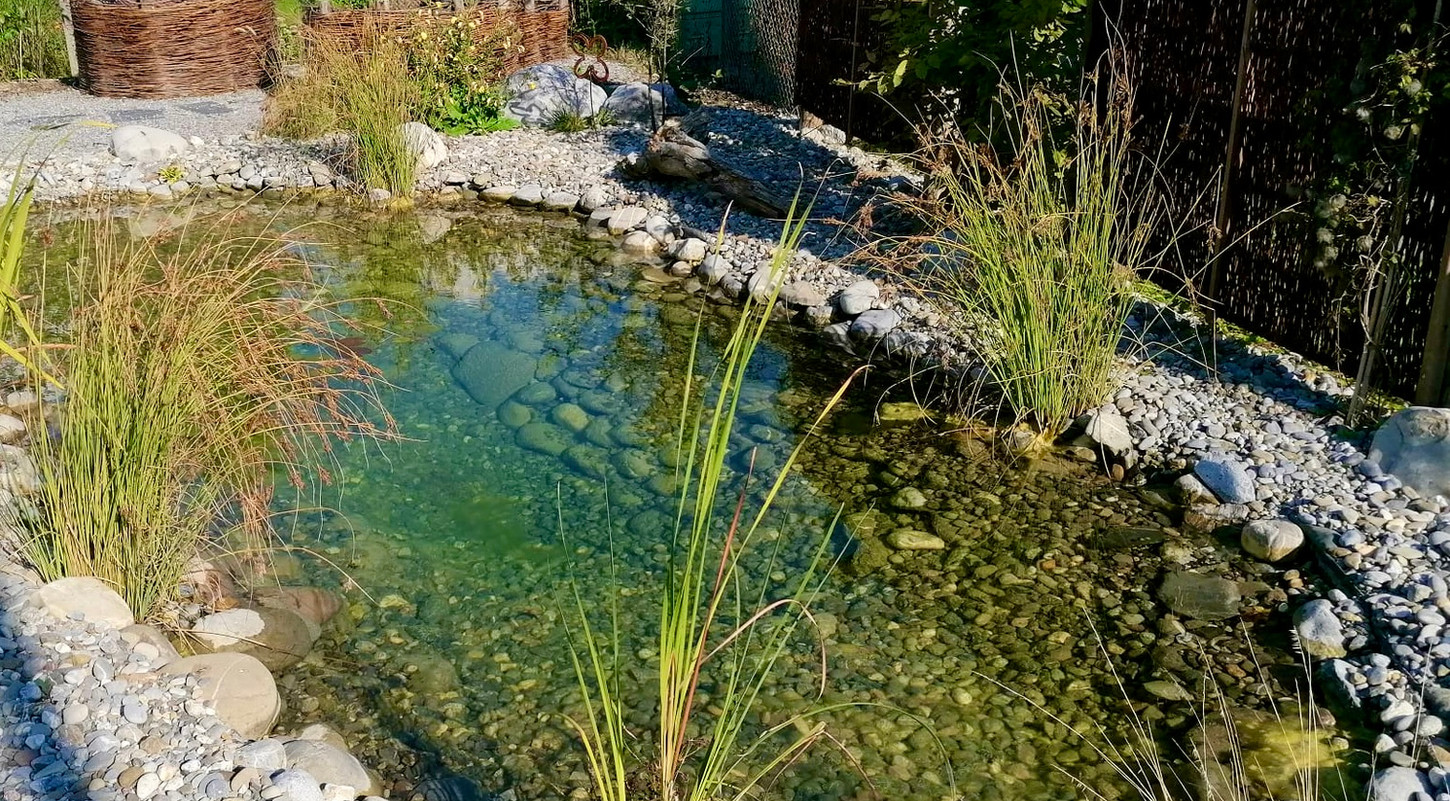 Naturgarten-mit-Charakter-rasenfläche-ersatz-gartenbau-mauer-sitzplatz-blickfang-teich-biotop.jpg
