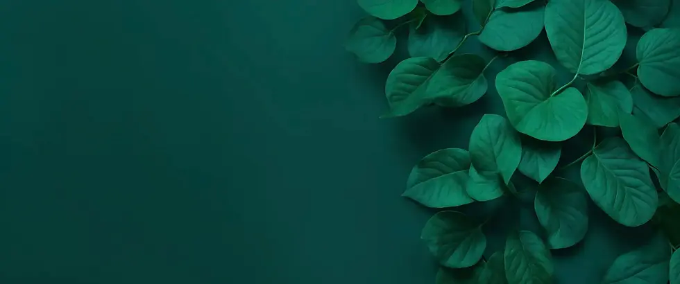 BG_Green.webp