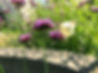 Blattigarten-grünflächenpflege-gartenpflege-gärtner-gartenbau-bern-umgebung.jpg