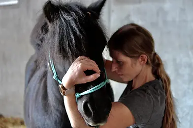 anisoul-hundeosteopathie-pferdeosteopathie-pferdewohl-mobiletiertherapie-energetischepferd