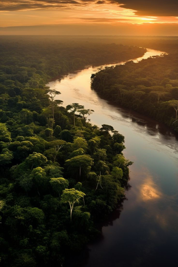 Amazon River.jpeg