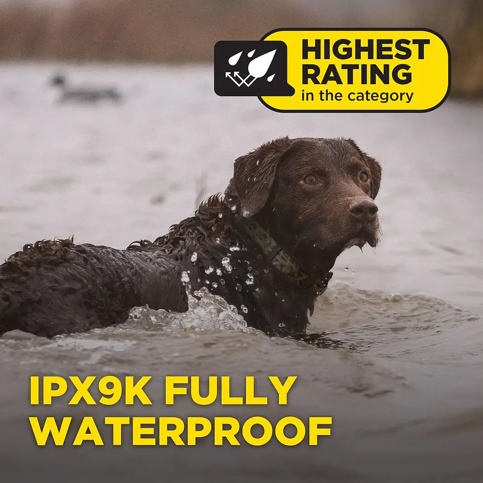 Thumbnail: Dogtra 1200x (1900x) Camouflage