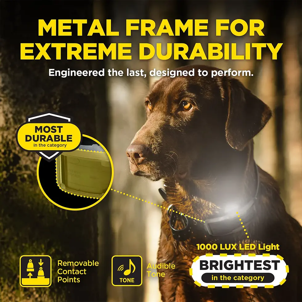 Thumbnail: 1200X 2-DOG UNIT (1900X)