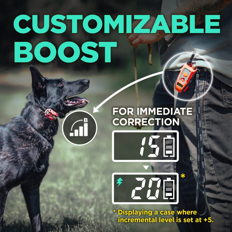 Thumbnail: DOGTRA 640C Tom Davis Edition (280c)
