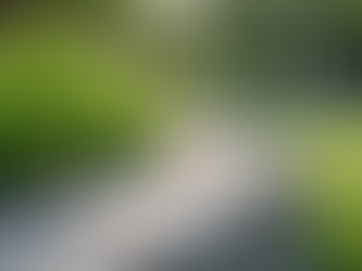 Choosing the Right Garden Edge Materials for Your Outdoor Space