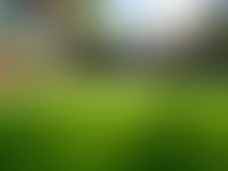Optimizing Costs for Artificial Turf Installation - Turf Installation Pricing Guide