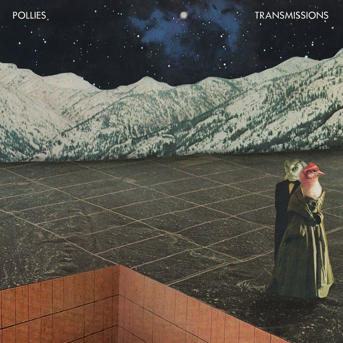 The Pollies
