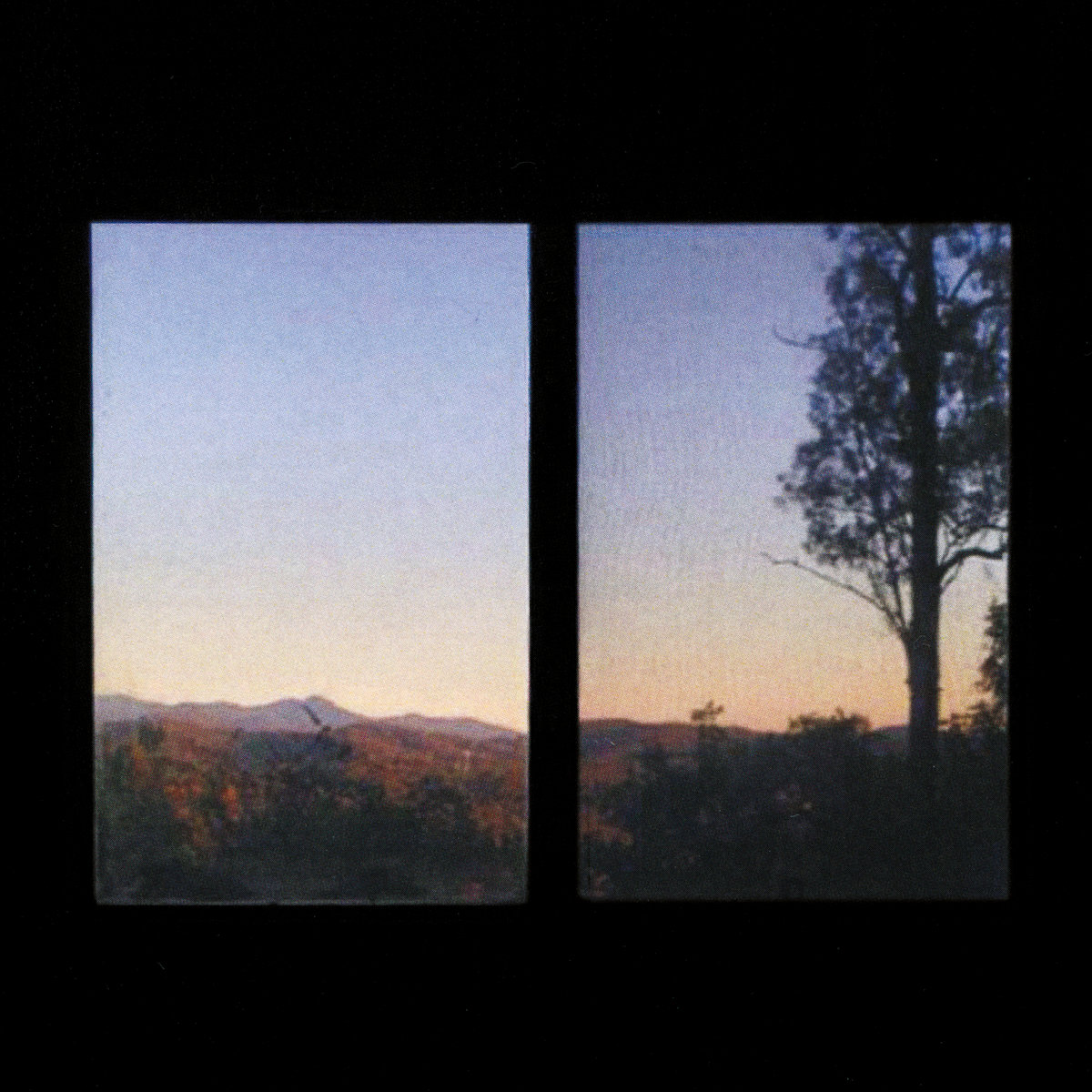 Bonny Doon