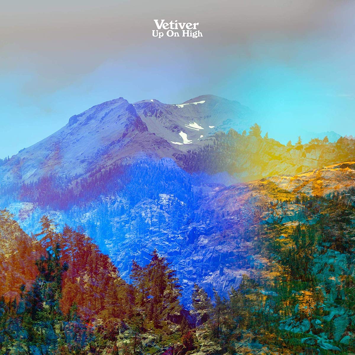 Vetiver