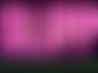                         25.03 SLIPP-OPEN CALL