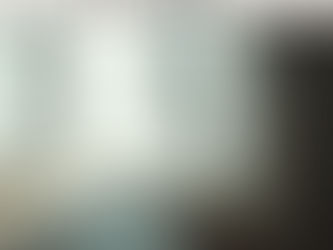 Cos'รจ la Finestra di Tolleranza e come regola il Sistema Nervoso