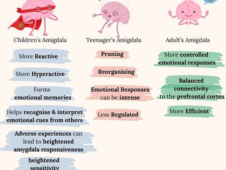 The Amygdala & Children