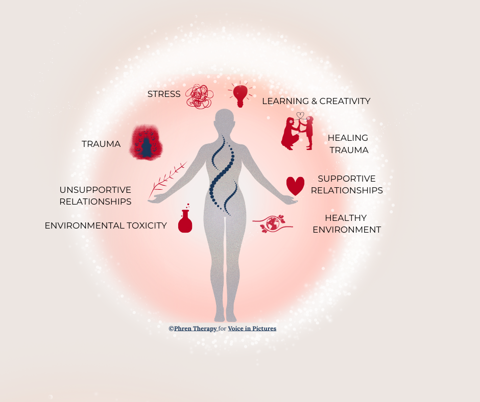 Epigenetics & Children