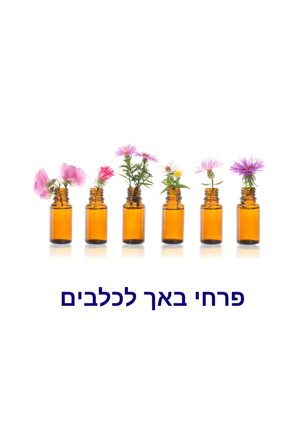 טיפול בפרחי באך לכלבים מתאים למגוון מצבים נפשיים