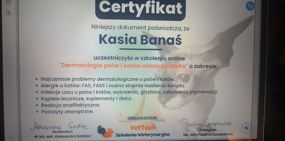 Dermatologia psów i kotów okiem praktyka