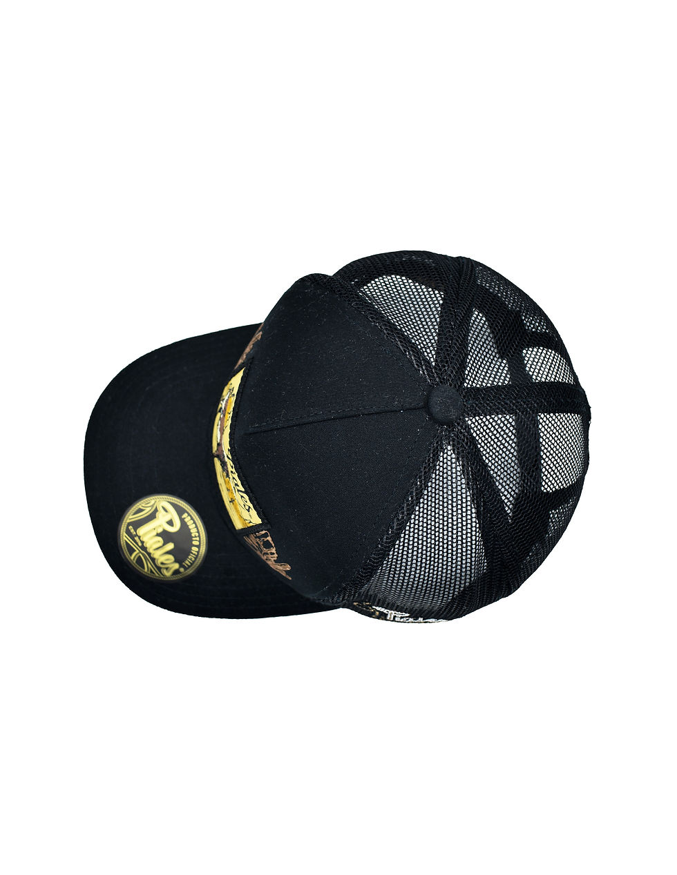 Miniatura: Sahuaro Longhorn Negro