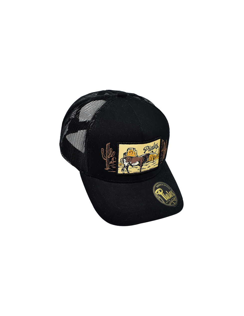 Miniatura: Sahuaro Longhorn Negro