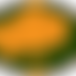 Football Manager Create a Club Project