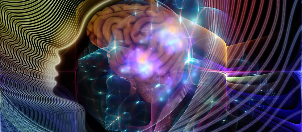 theta waves