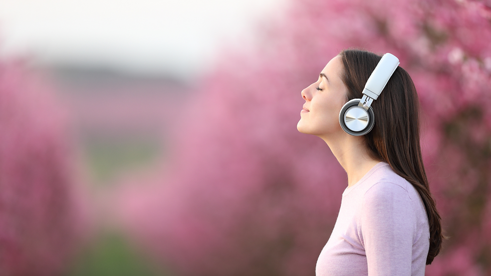 meditacion meditahub2 .png