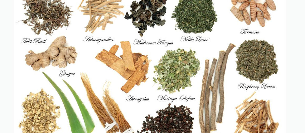 adaprtogens