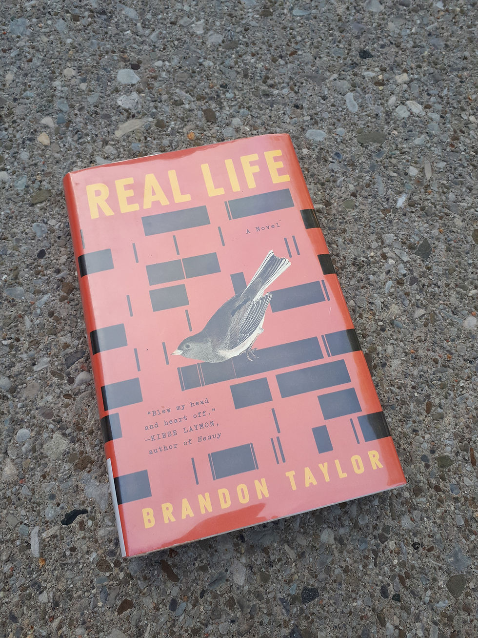 Image of book cover for Brandon Taylor's novel Real Life
