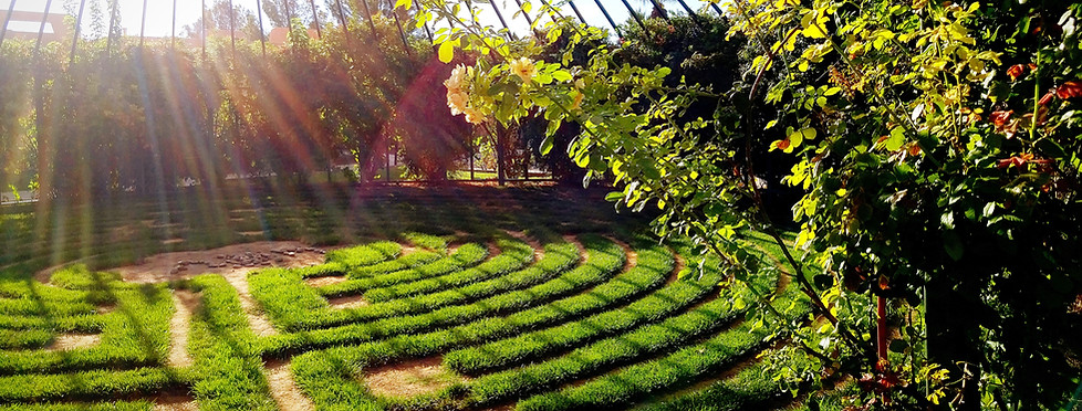 Landscape Architecture