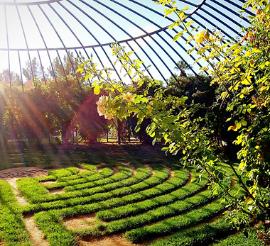 Landscape Architecture