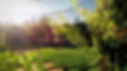 Landscape Architecture
