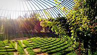 Residential Landscaping